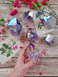 Crystal And Plants, Amethyst Meaning, Aura Amethyst, Crystals Amethyst, Aqua Aura, Aura Crystals, Raw Crystals, Crystal Therapy