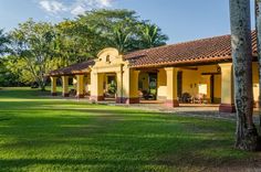 a yellow house sitting in the middle of a lush green field next to palm trees