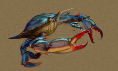 a blue crab with red and yellow claws