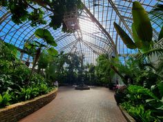 the inside of a large greenhouse with lots of plants and trees on it's sides