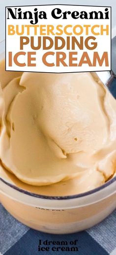 Ninja Creami Butterscotch Ice Cream - I Dream of Ice Cream Butterscotch Ninja Creami, Ninja Creami Recipes For Kids, Butterscotch Ice Cream Recipe, Snickerdoodle Ninja Creami, Ninja Creami Alcohol Recipes, Recipes Non Dairy, Home Made Ice Cream Recipes, Creami Ninja Recipe, Pudding Ice Cream Recipe