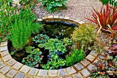 a small pond in the middle of a garden with lots of flowers and plants around it