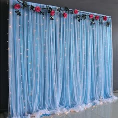 a blue curtain with roses on it and lights in the room behind it for backdrop