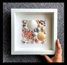 a person holding up a frame with seashells in it