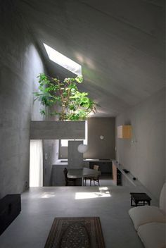 a living room filled with furniture and a plant in the middle of it's ceiling