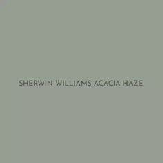 the words shewin williams acacia haze are shown in black on a gray background,