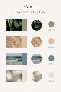 4 separate photos with their corresponding colour codes beside them but laid out in an aesthetically pleasing layout. photos are of leaves, water Modern Nature Color Palette, Clean Color Schemes, Luxury Earthy Color Palette, Brand Color Palette Earth Tones, House Decor Neutral Colors, Neutral Natural Color Palette, Canva Colors Code, High End Brand Color Palette, Branding Color Palette Business