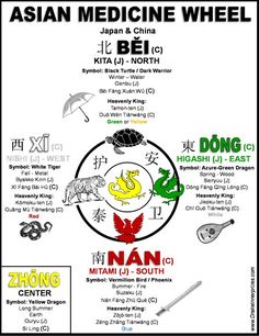 Native American Medicine Wheel, Asian Medicine, Native American Spirituality, Green Witchcraft, Native American Wisdom, Shamanic Journey, Herb Gardens, Herb Gardening, Native American Pictures