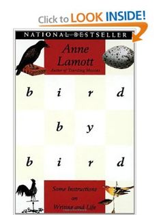 a book cover with an image of birds on it