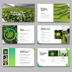 brochure design for organic farming company