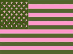 an american flag with pink and green stripes