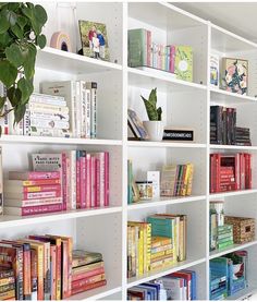 a bookshelf filled with lots of different colored books next to a potted plant