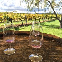 two wine glasses sitting on top of a barrel