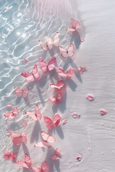 many pink butterflies floating in the water on top of a sandy beach with ripples