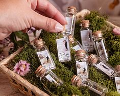 a basket filled with miniature bottles and moss