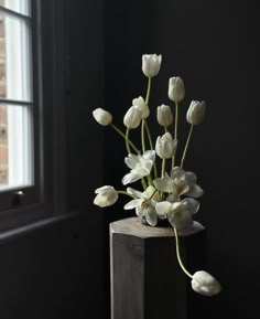 a vase with white flowers sitting on top of a wooden block in front of a window