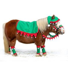 a miniature horse dressed in green and red with decorations on it's head, standing in the snow