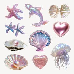 an assortment of seashells and starfish on a white background with a heart