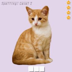 an orange and white cat sitting on top of a purple background with five stars above it