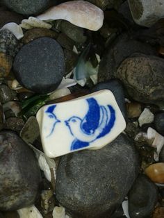 a blue and white ceramic bird on rocks with seaweed in the foreground,