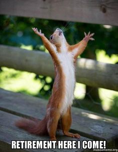 a squirrel standing on its hind legs and reaching up to the sky with his hands in the air