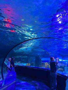 two people standing in front of an aquarium looking at the fish and other things inside