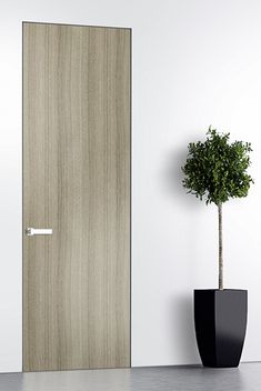 a potted plant sitting next to a wooden door in a white room with wood paneling