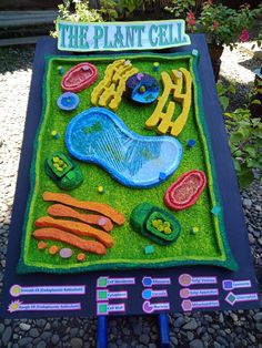 the plant cell is made out of felt and plasticine with different types of plants on it