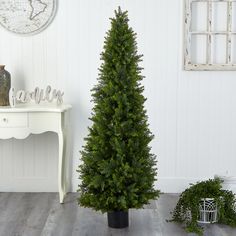 a small christmas tree in a room with white walls and wood flooring, next to a potted plant