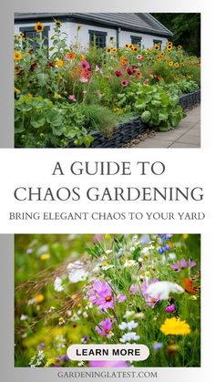 a guide to chaos gardening bring elegant chaos to your yard by learning how to grow flowers