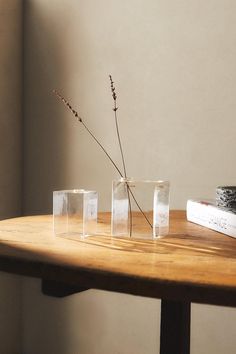 three clear vases sitting on top of a wooden table next to a book and plant