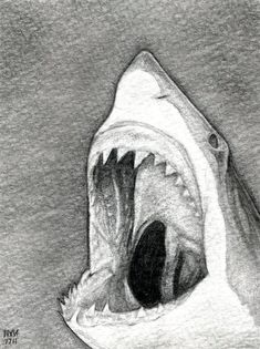 a drawing of a shark with its mouth open