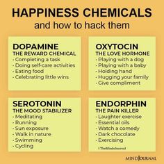 Happiness Chemicals, Health Info, Health Facts, Brain Health, Healthy Mind, Health Awareness, Mental Wellness