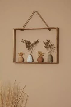 three vases with dried flowers are hanging on a wall above a potted plant