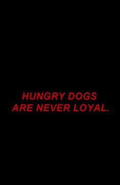 the words hungry dogs are never loyal written in red on a black background