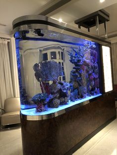 an aquarium is shown in the middle of a living room