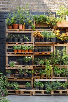 Creative vertical garden ideas for urban backyards utilizing space-saving designs with fresh herbs and flowers. Garden Ideas For Small Spaces, Tiny Backyard, Wall Mounted Planters, Backyard Spaces, Vertical Gardens, Ideas For Small Spaces