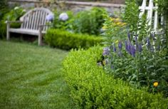 a bench sitting in the middle of a lush green garden