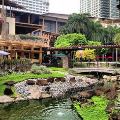 a bridge over a small stream in a city park with green plants and rocks on the ground