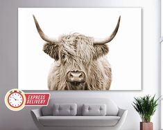 a cow with large horns standing in front of a white wall next to a couch