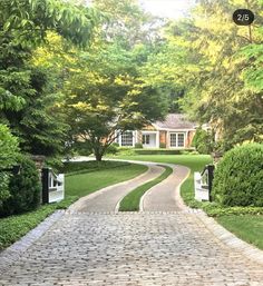 a driveway leading to a large house in the middle of a lush green yard with trees and bushes