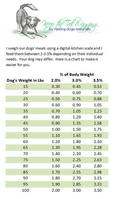 an info sheet showing the average weight for dogs