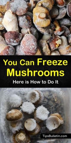 there are many different types of mushrooms in this photo and the words, you can freeze mushrooms here is how to do it