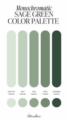 5 Gorgeous Sage Green Color Palettes You Need to See - Siteculture Cool Greens Palette, Sage Green Shades Colour Palettes, Color Palette Of Green, Colors Green Palette, Colors That Look Good With Sage Green, Green Paint Room Ideas Bedroom, Green Scheme Colour Palettes, Colour Green Palette, Sage Green Colour Pallete