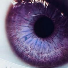 an extreme close up shot of the iris of a purple eye