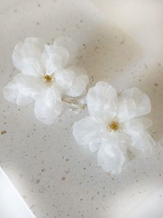 two white flowers sitting on top of a table