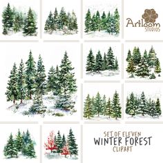 twelve watercolor trees with the words set of eleven winter forest clipart on them