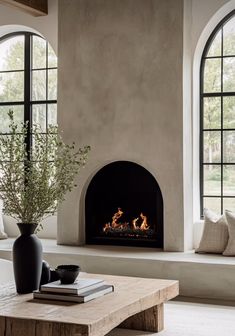 a living room filled with furniture and a fire place in front of two large windows