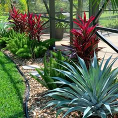 some red and green plants are in the grass next to a building with a glass roof