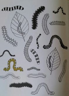 an open book with drawings of different types of plants and animals on the pages in it